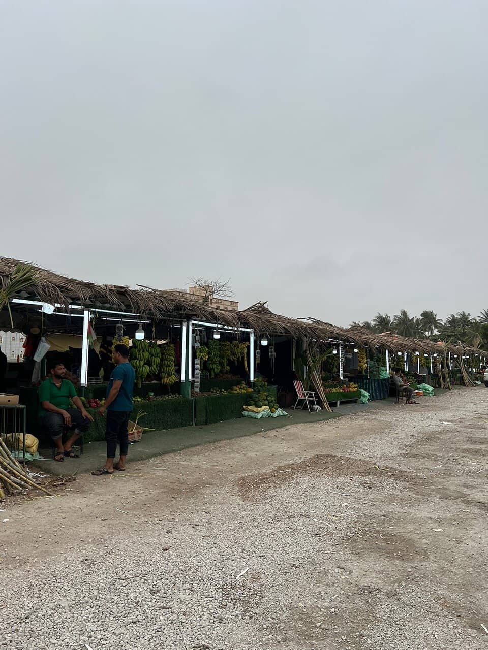 Haffa Beach Seaside Ambiance