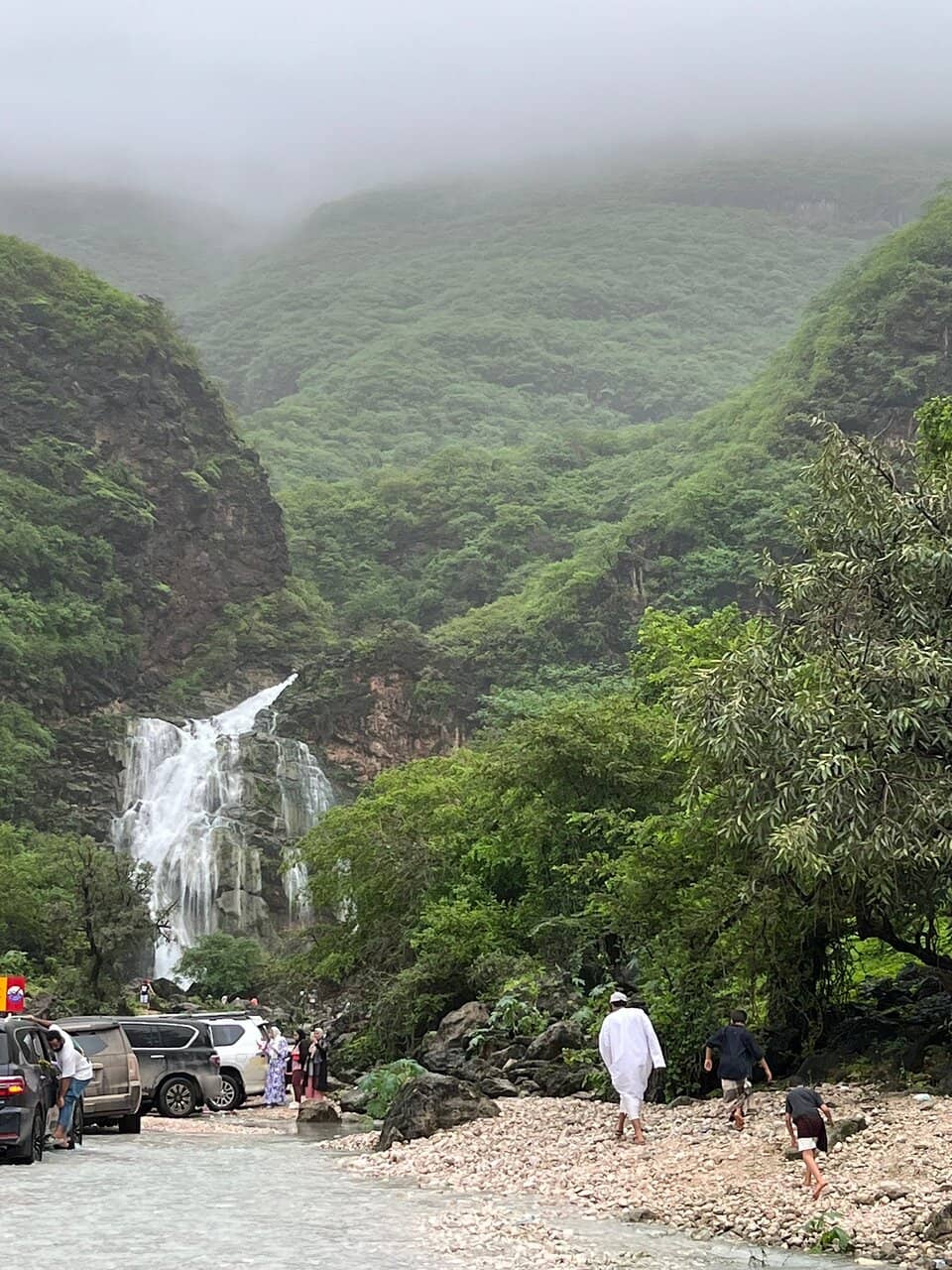 Khareef Season Lushness