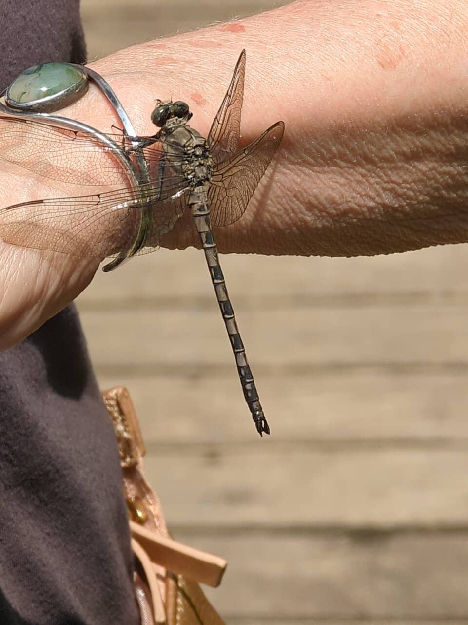 Cascading Waterfalls