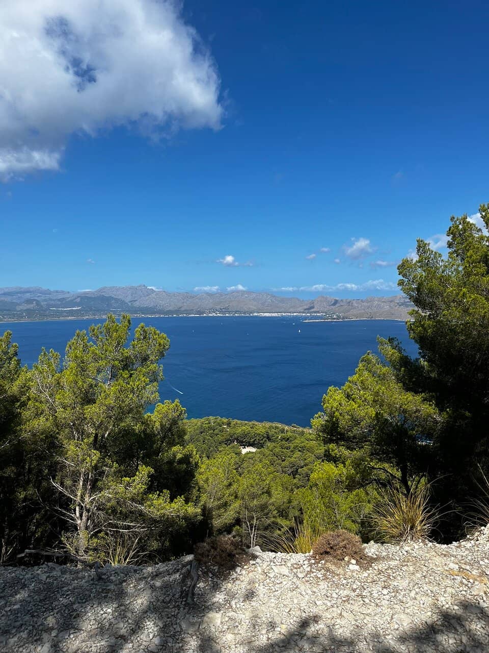 Scenic Coastal Hike