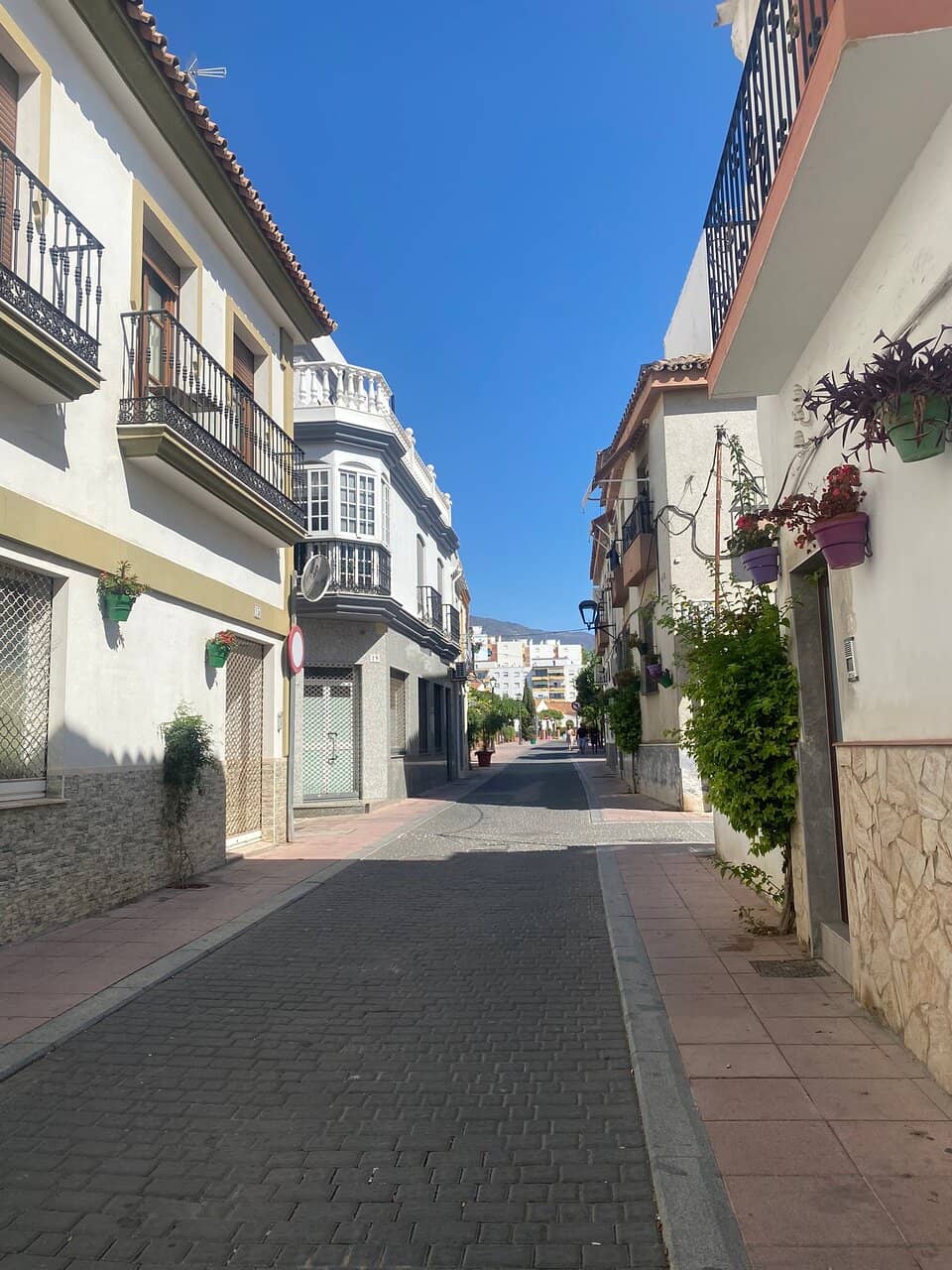 Fresh Produce & Spices