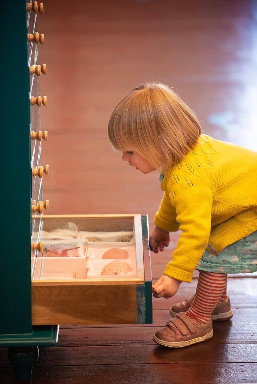 Local Heritage Displays