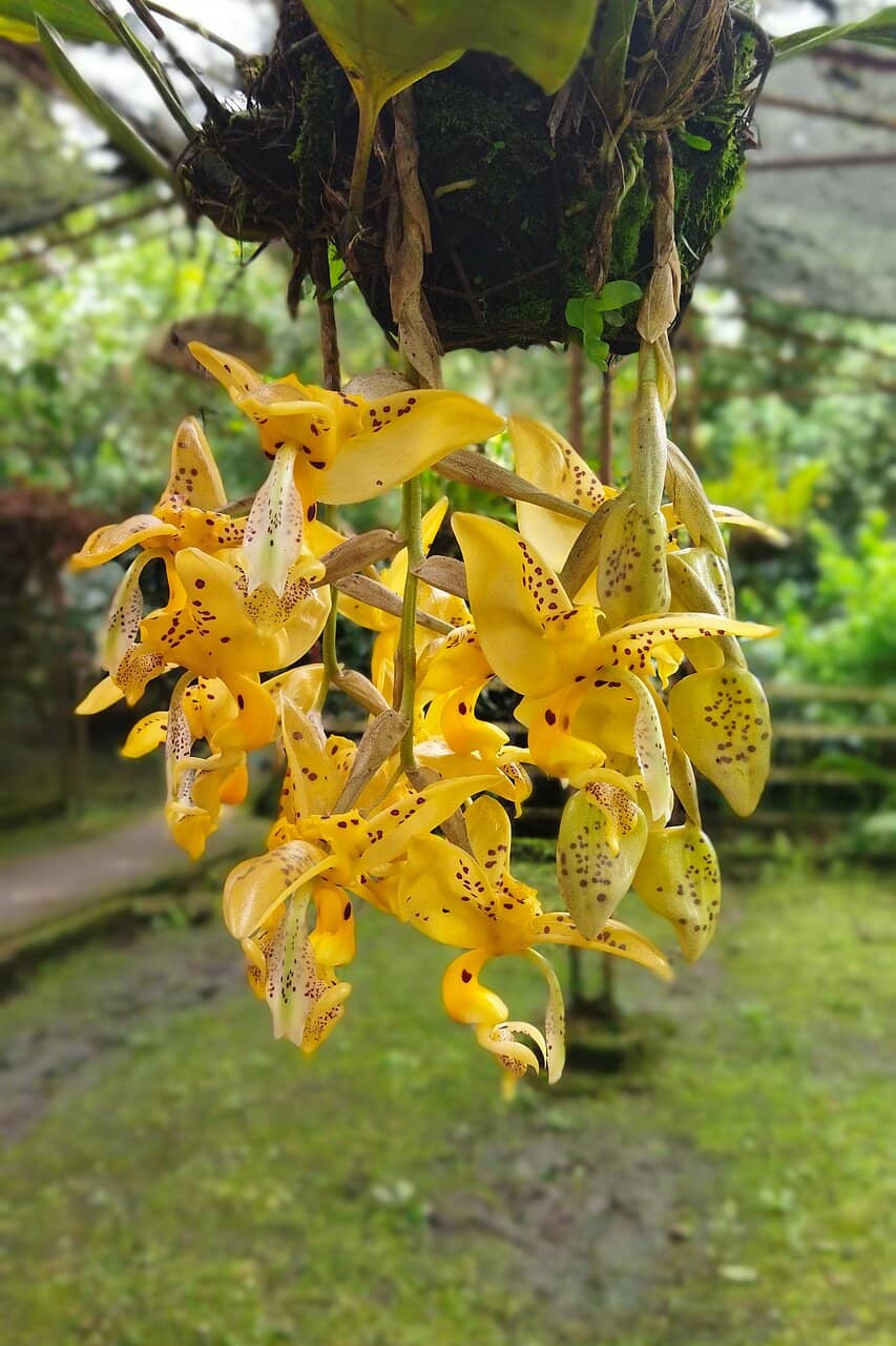 Coffee Production Tour