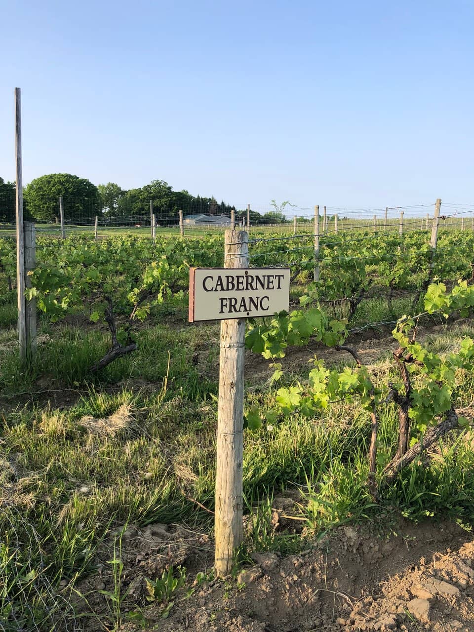 Family-Owned Heritage