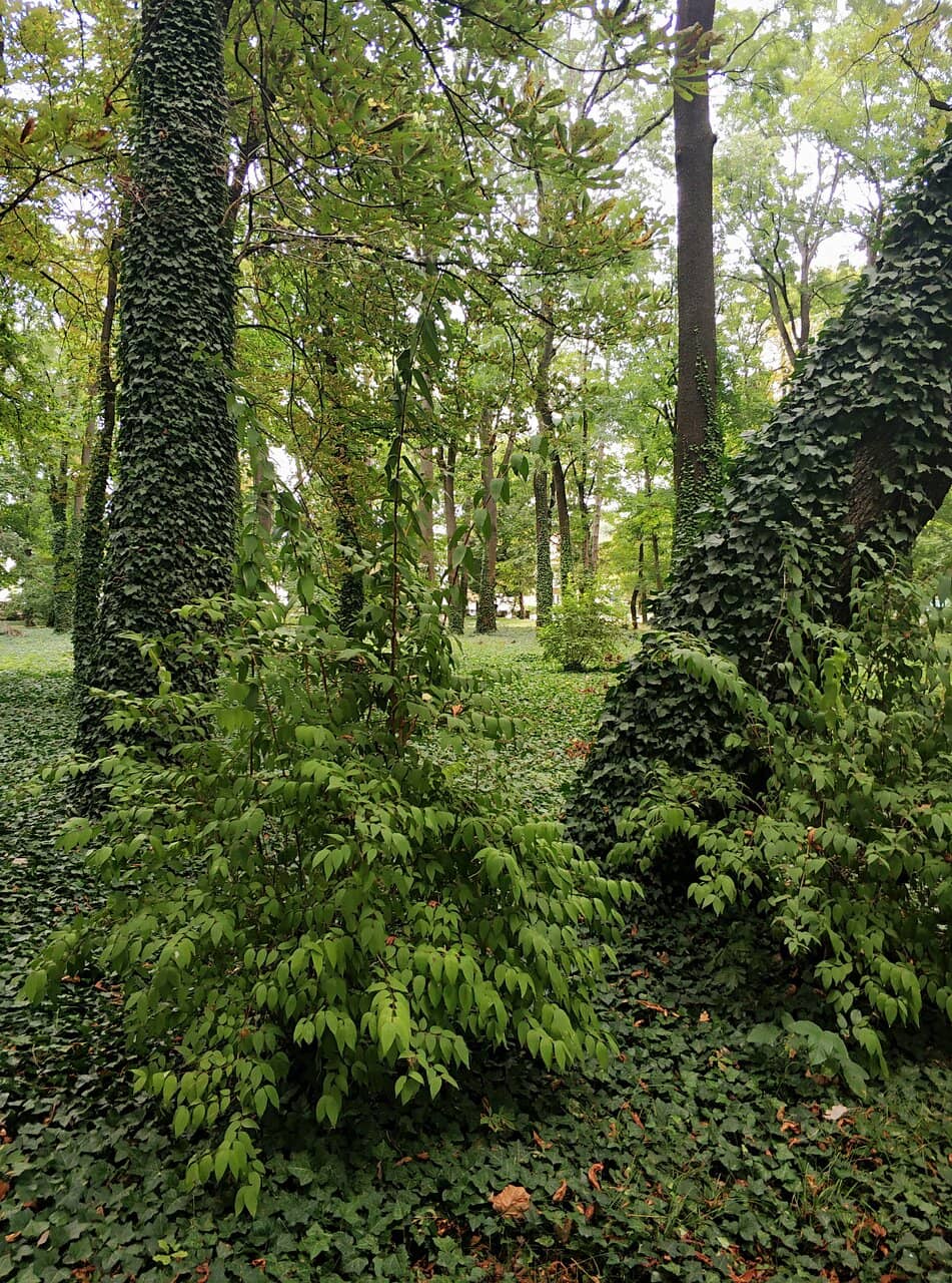 Vertical photo