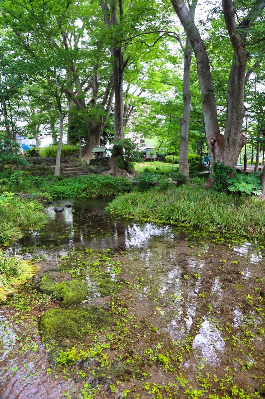 Children's Playground