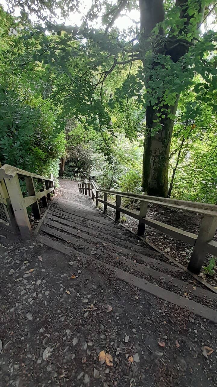 Rouken Glen Falls