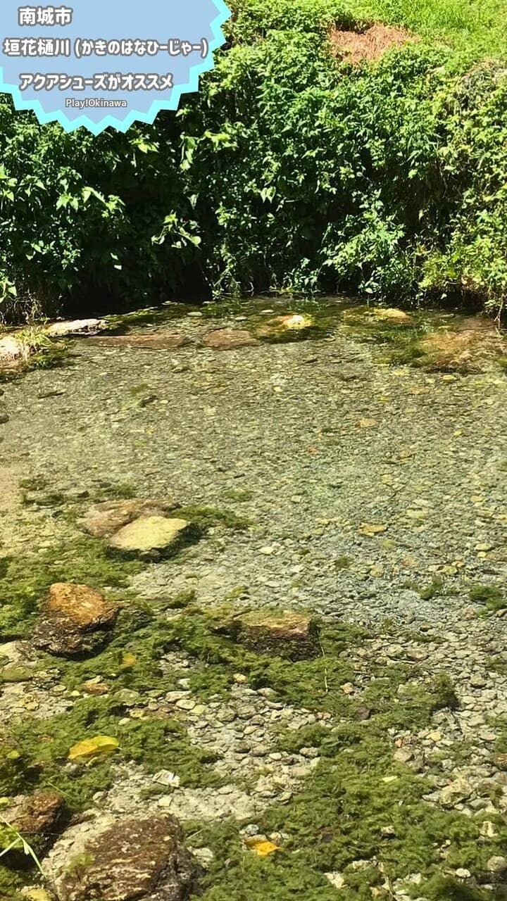 Scenic Nature Walk