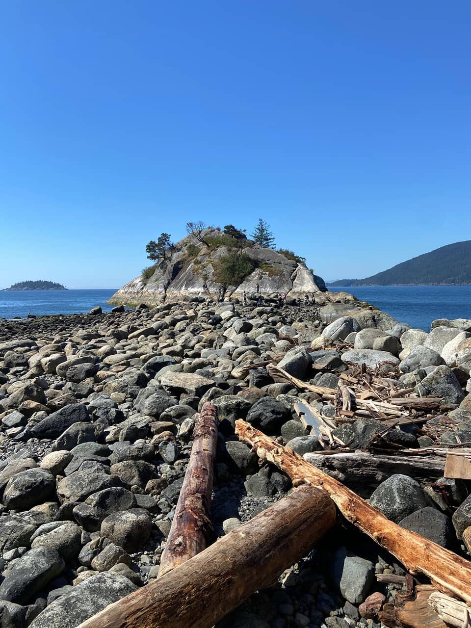 Scuba Diving & Marine Life