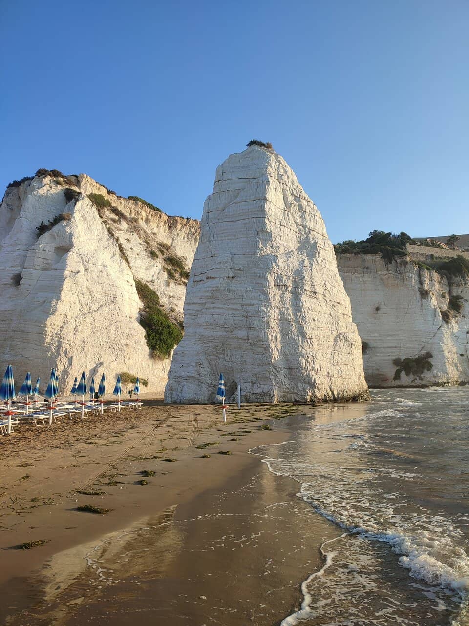 Vertical photo