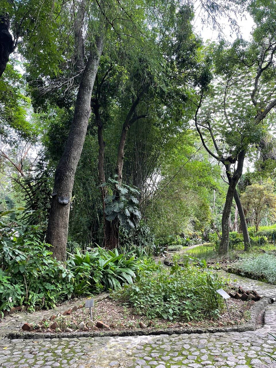 Tranquil Atmosphere