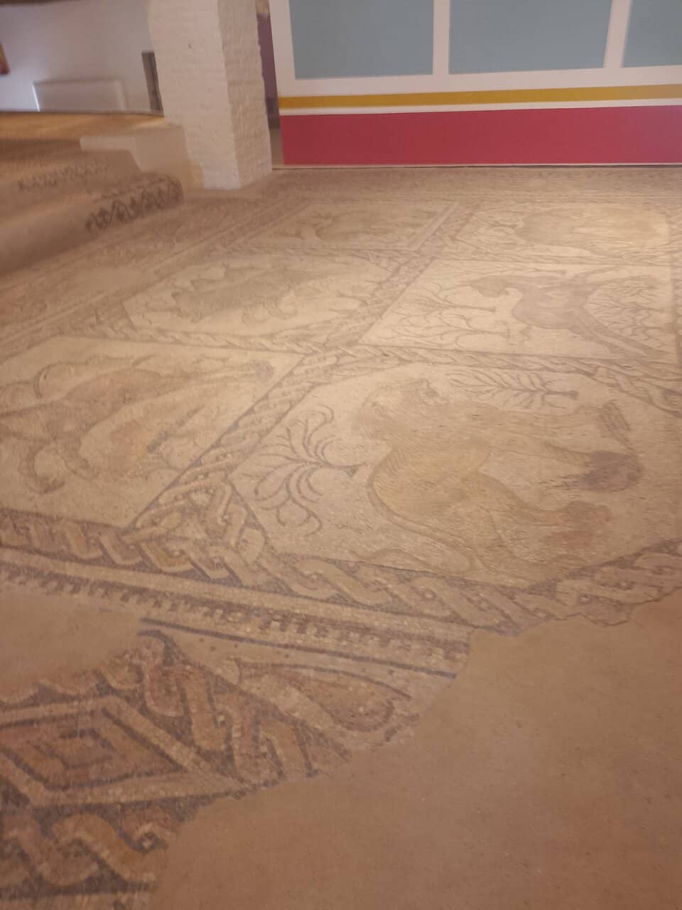 Panoramic Rooftop Terrace