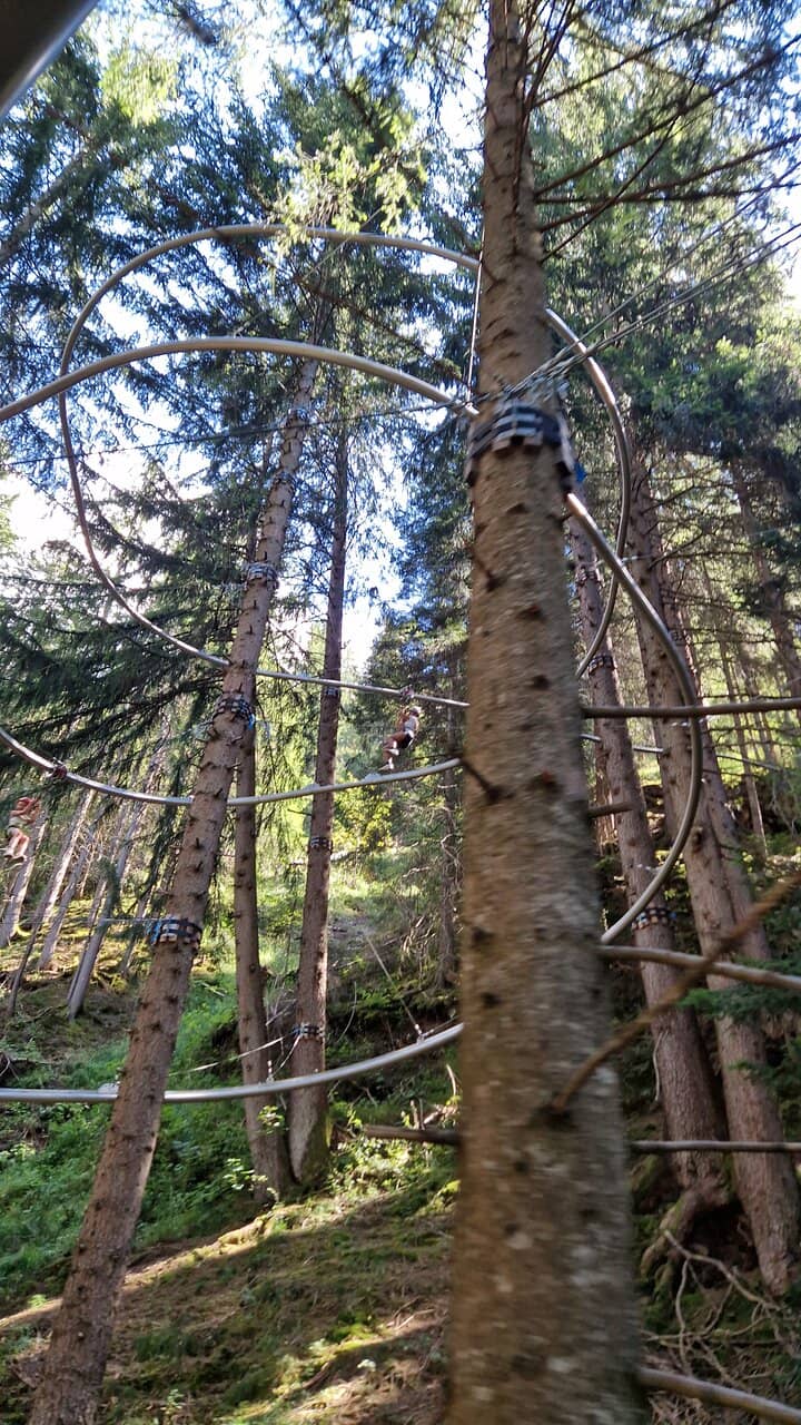 Fly Line Zip Line