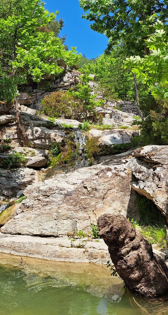 Maries Lake Biodiversity