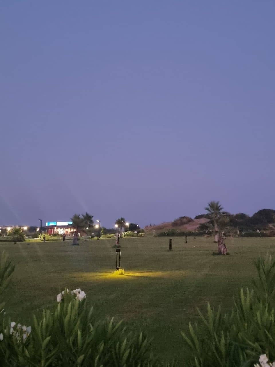 Harbor Walk