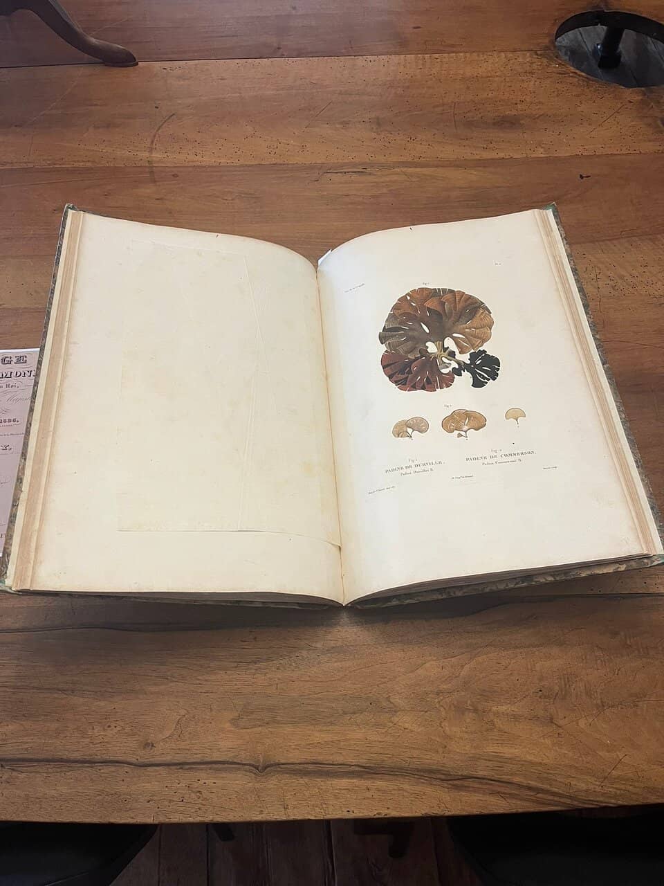 Naval Medical History