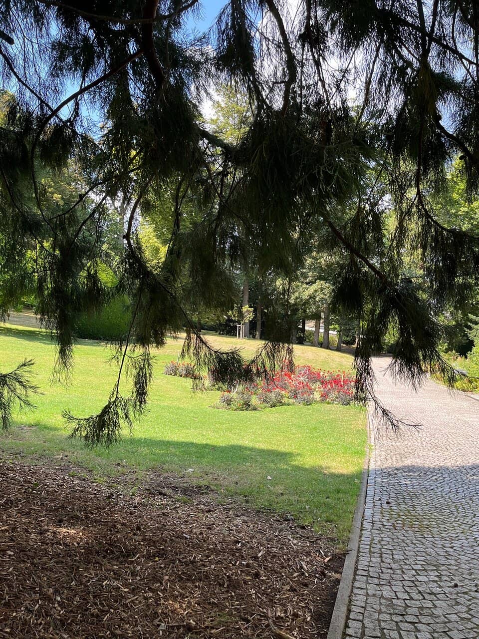 Tranquil Walking Paths