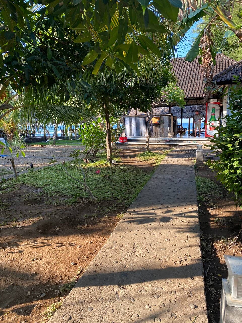 Exquisite Grilled Fish