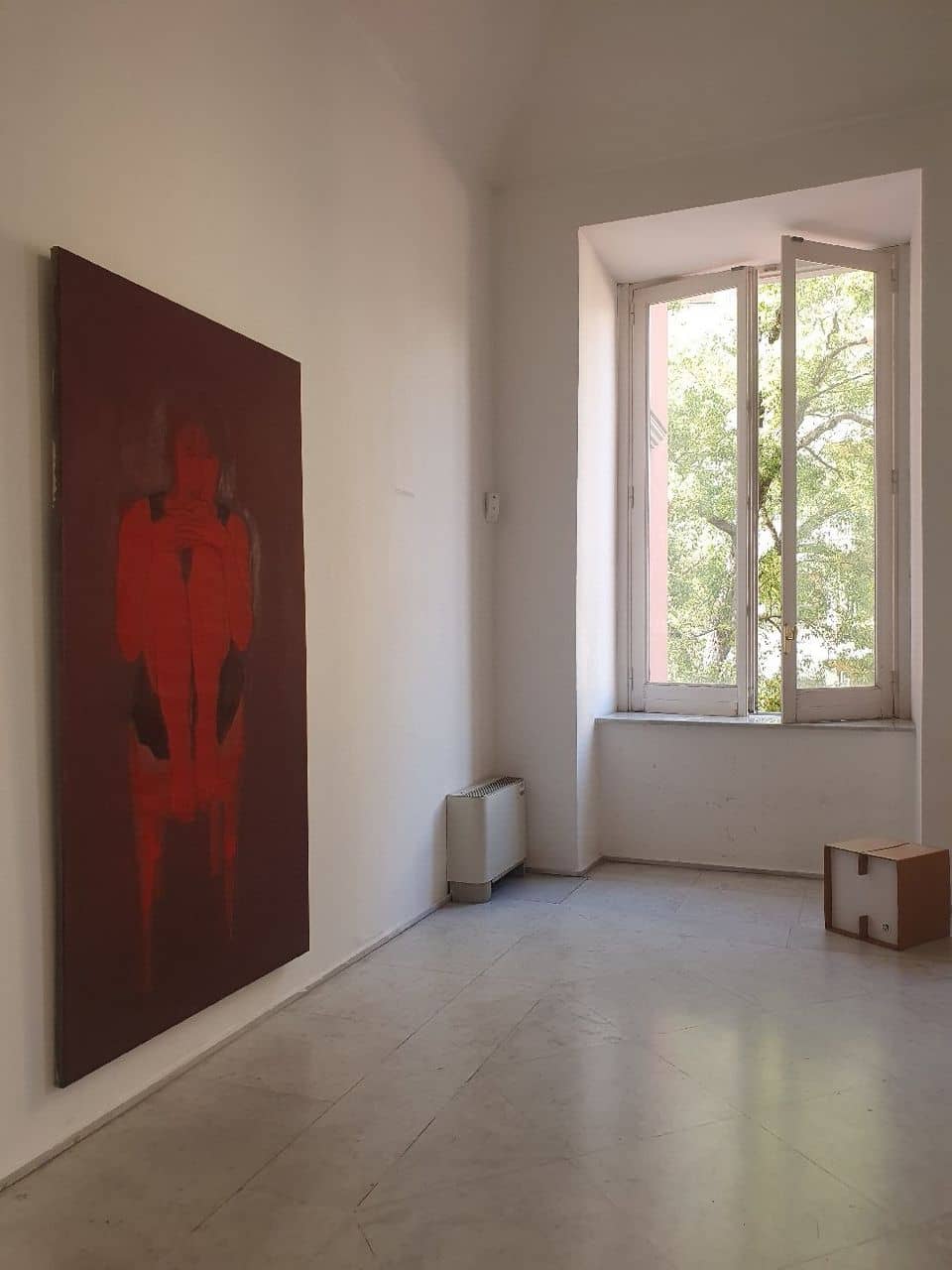 Photography Displays