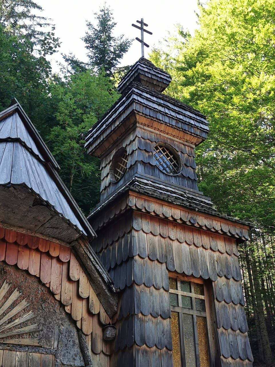 Vertical photo