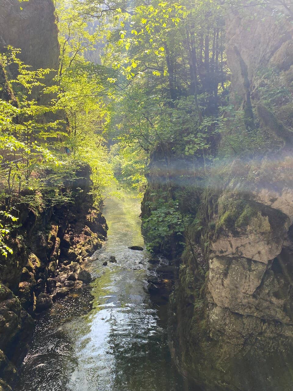 Narrow Walkways & Cliffs