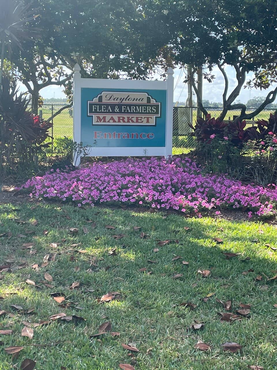 Unique Finds & Antiques