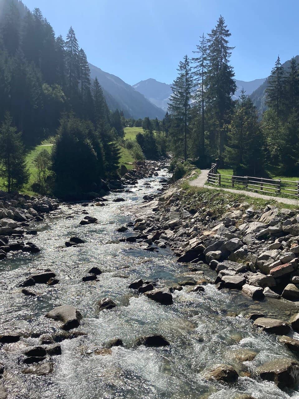 Peaceful Nature Vibes