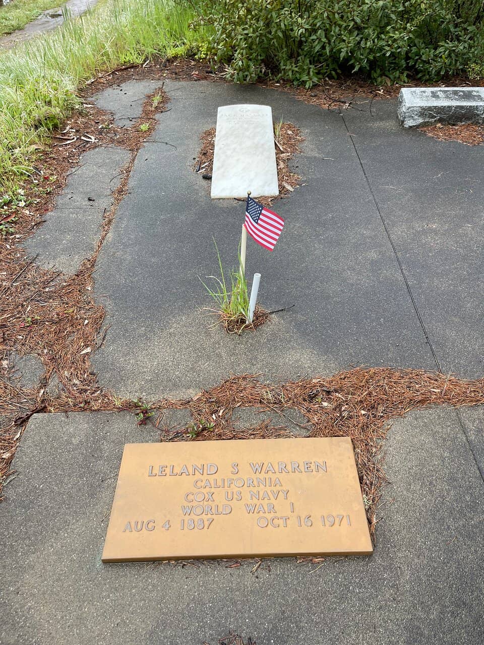 Tranquil Walking Paths