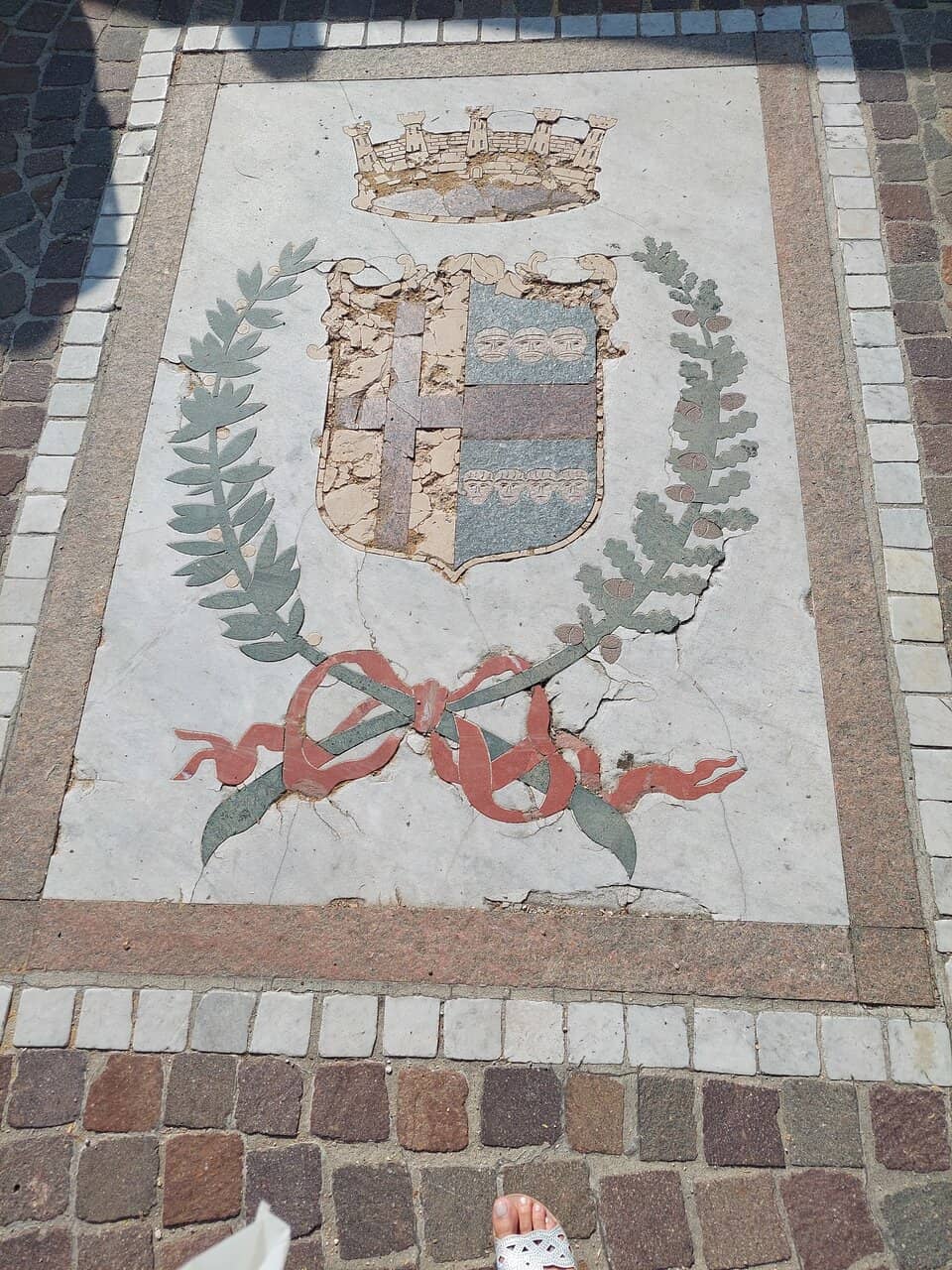 Mediterranean Flora