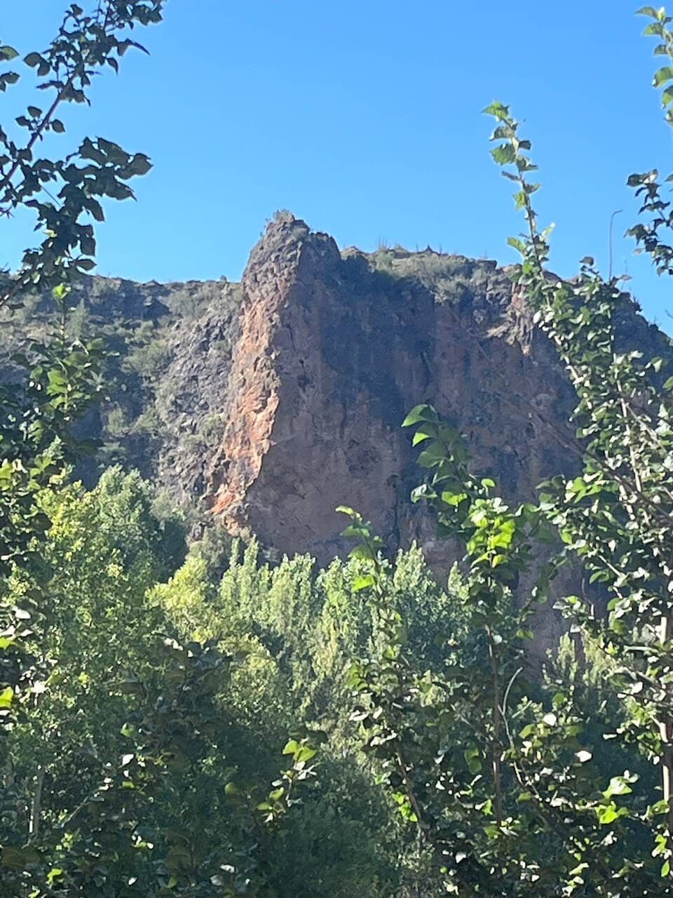 Vertical photo