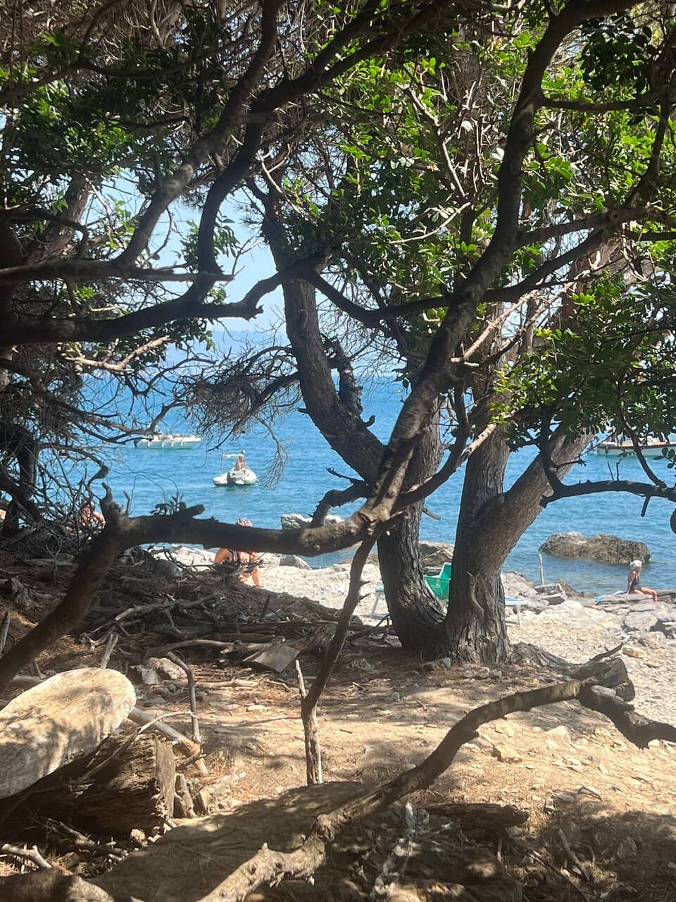 Palmaria Island Hiking