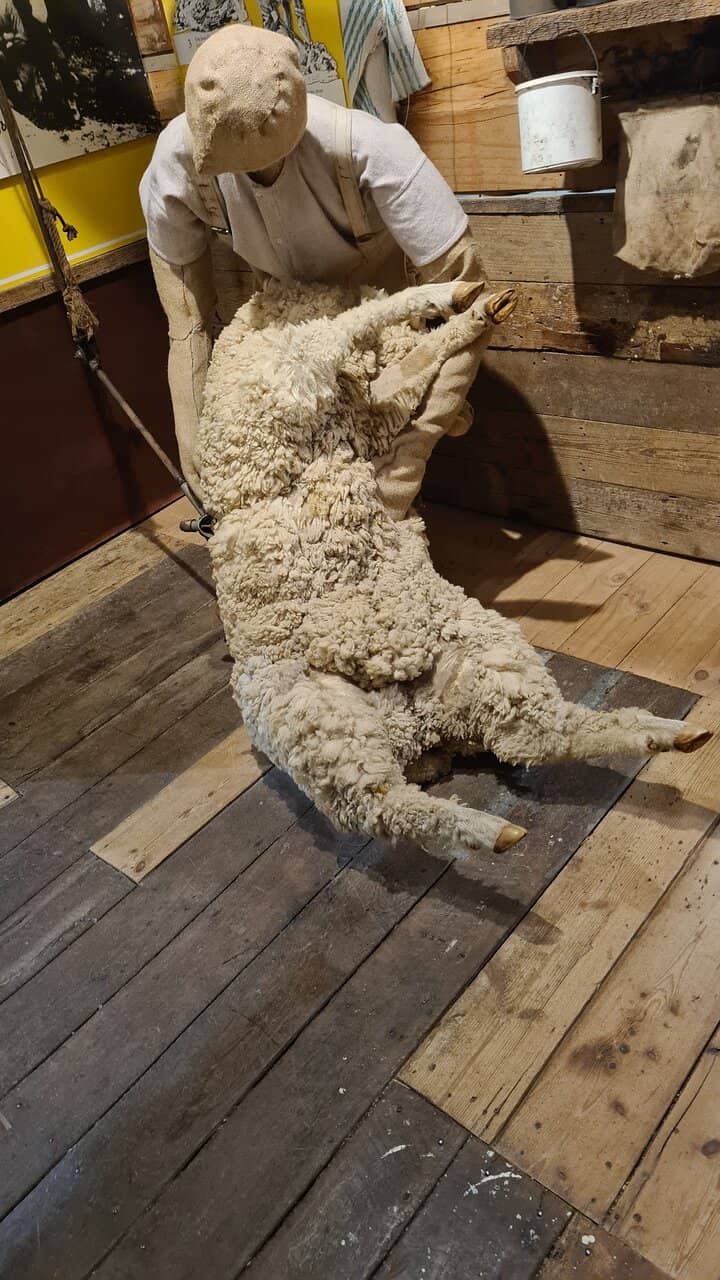 UGG Industry Timeline