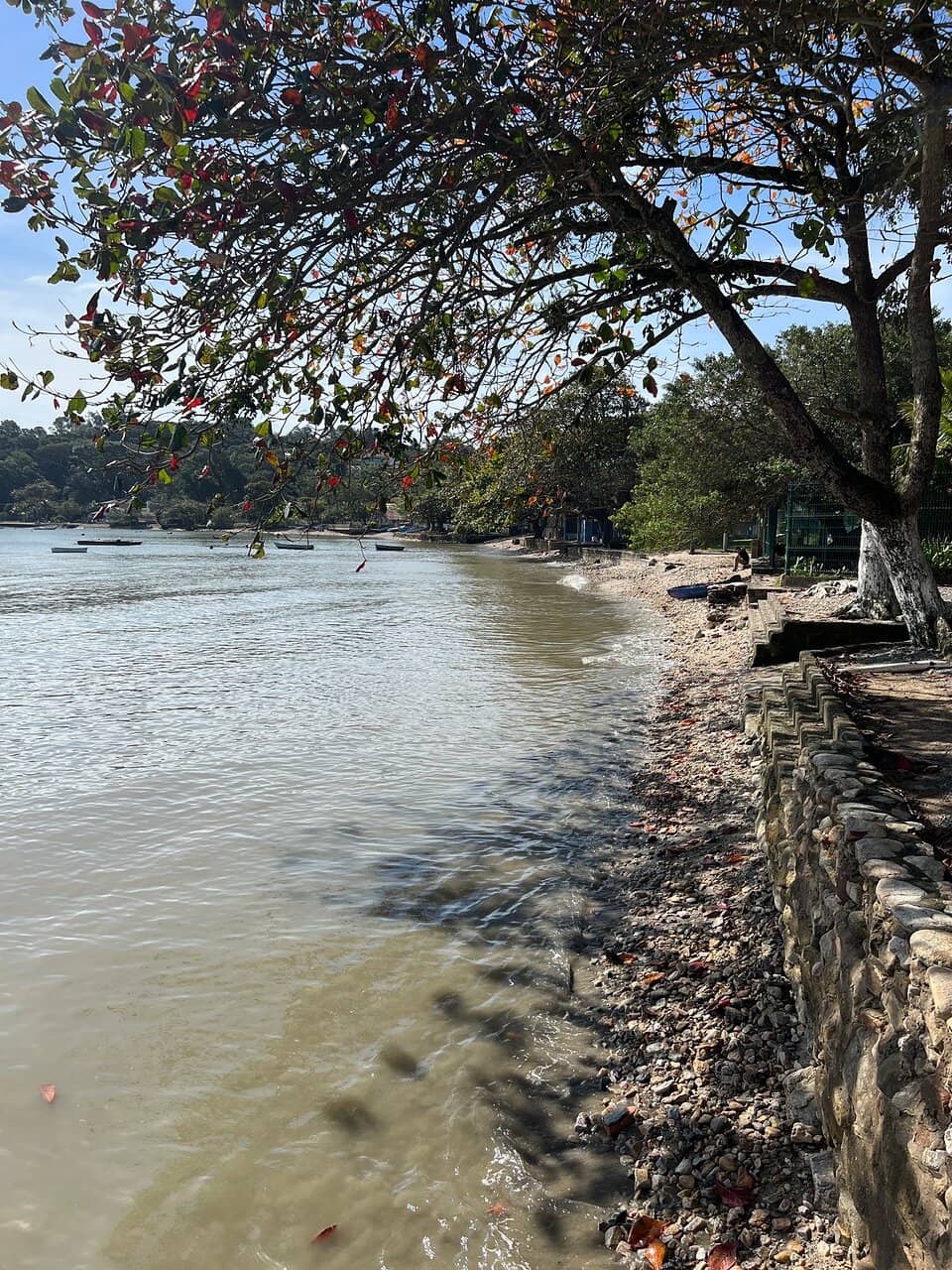 Sea Turtle Encounters