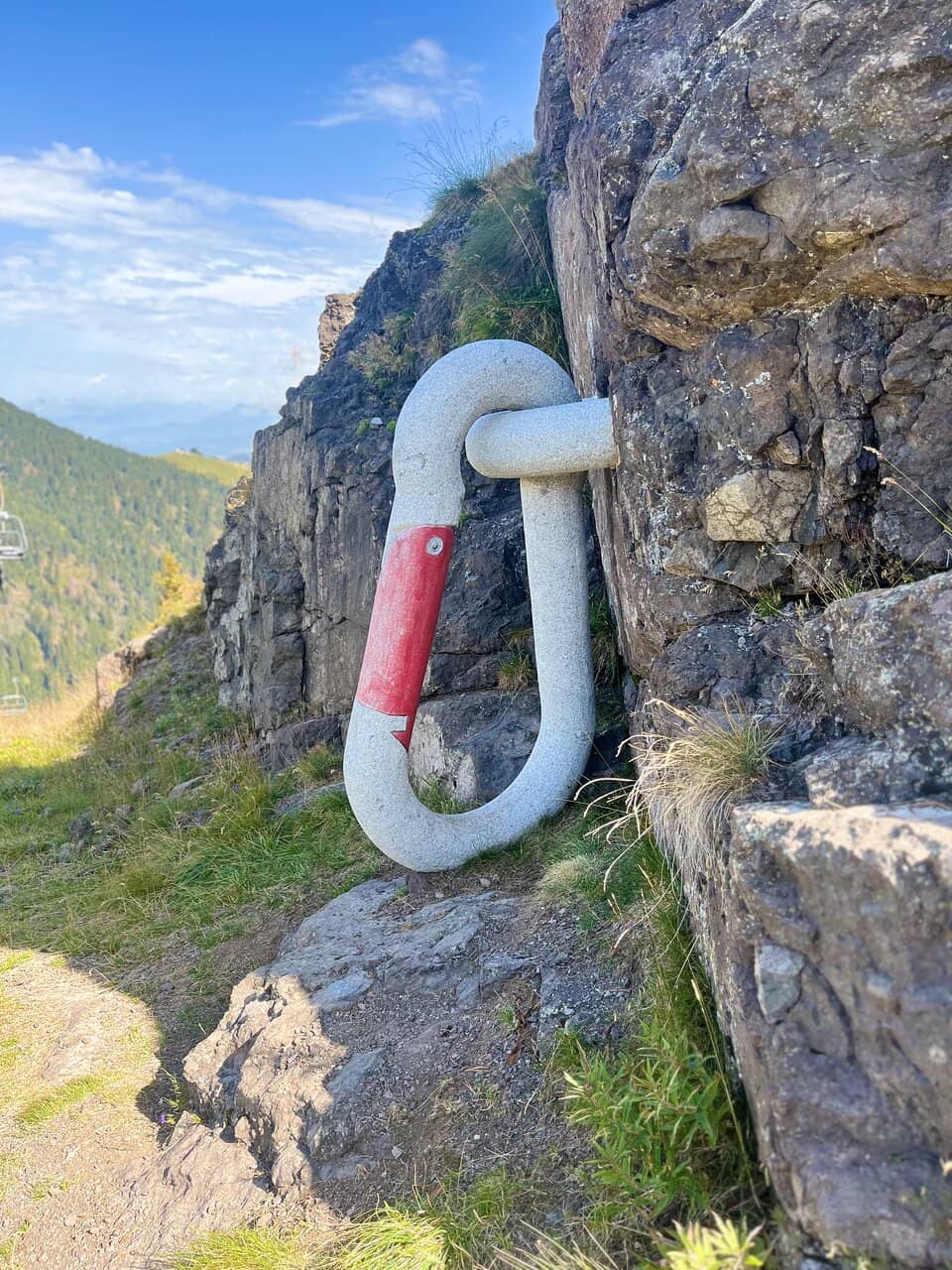 Vertical photo