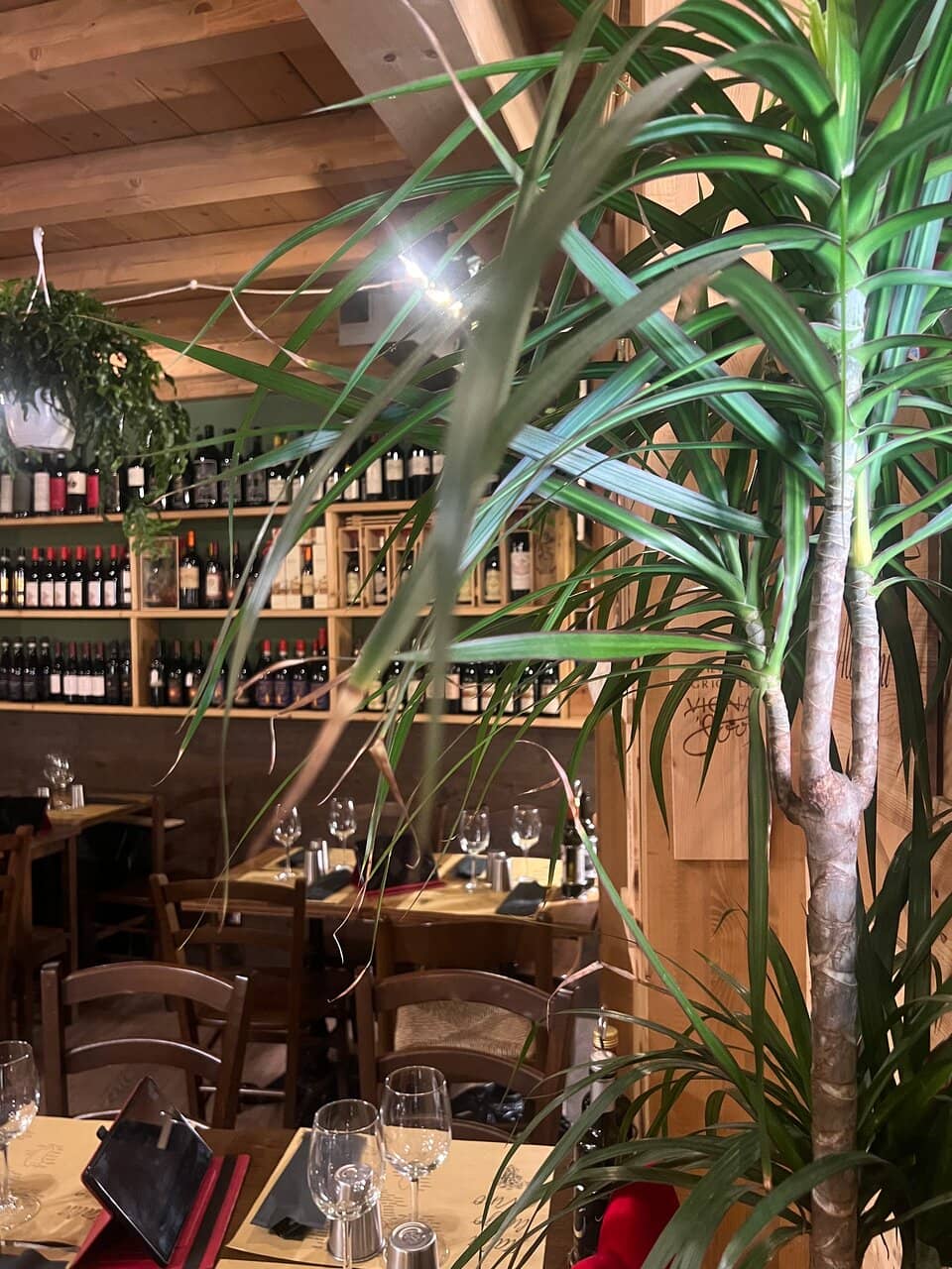 Exceptional Steaks & Pasta