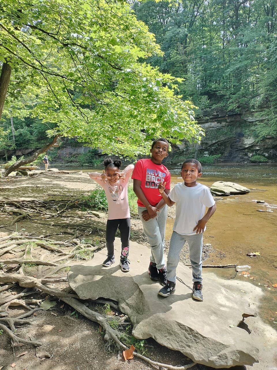 Tinker's Creek Gorge Scenic Overlook