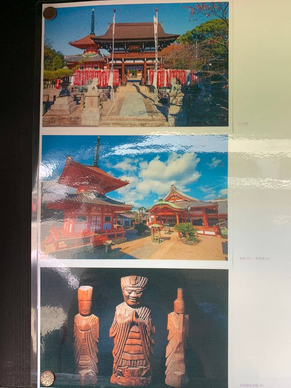 Resident Temple Cats