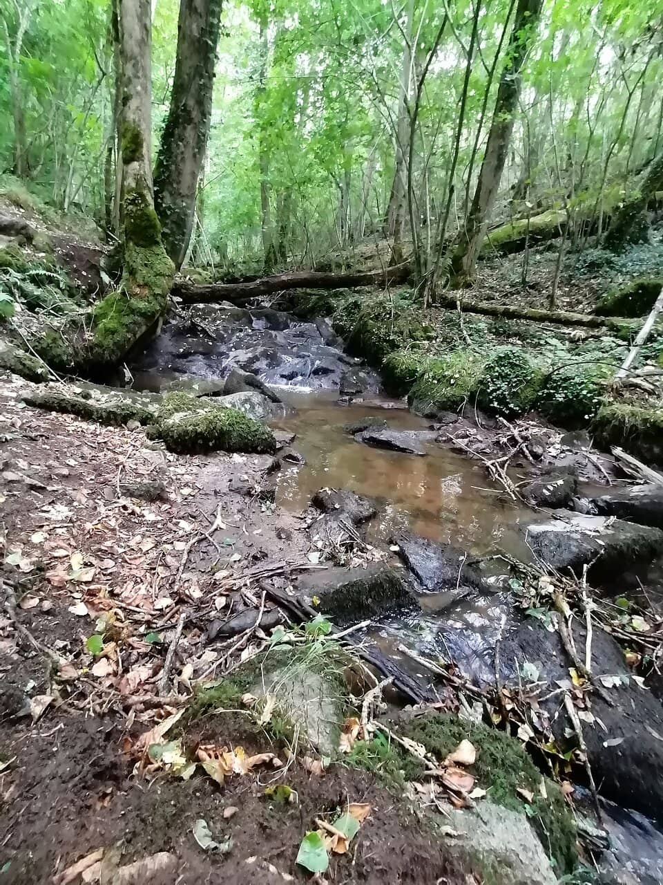 Chemin des Cascades