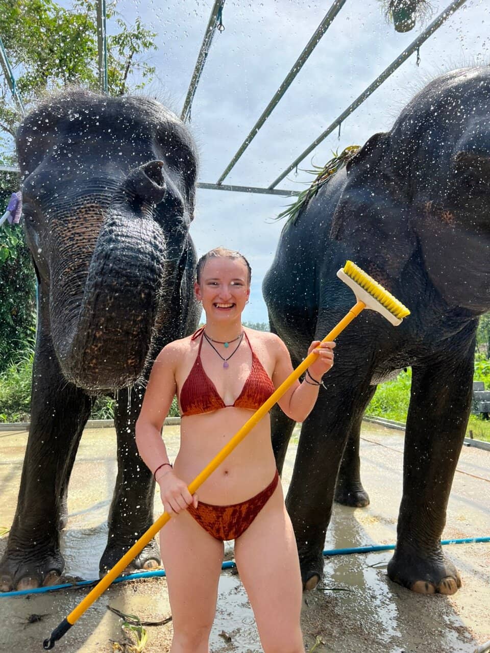 Learn About Elephant Conservation