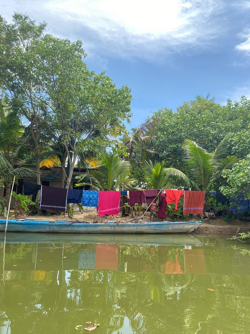 Lush Greenery and Tranquil Backwaters
