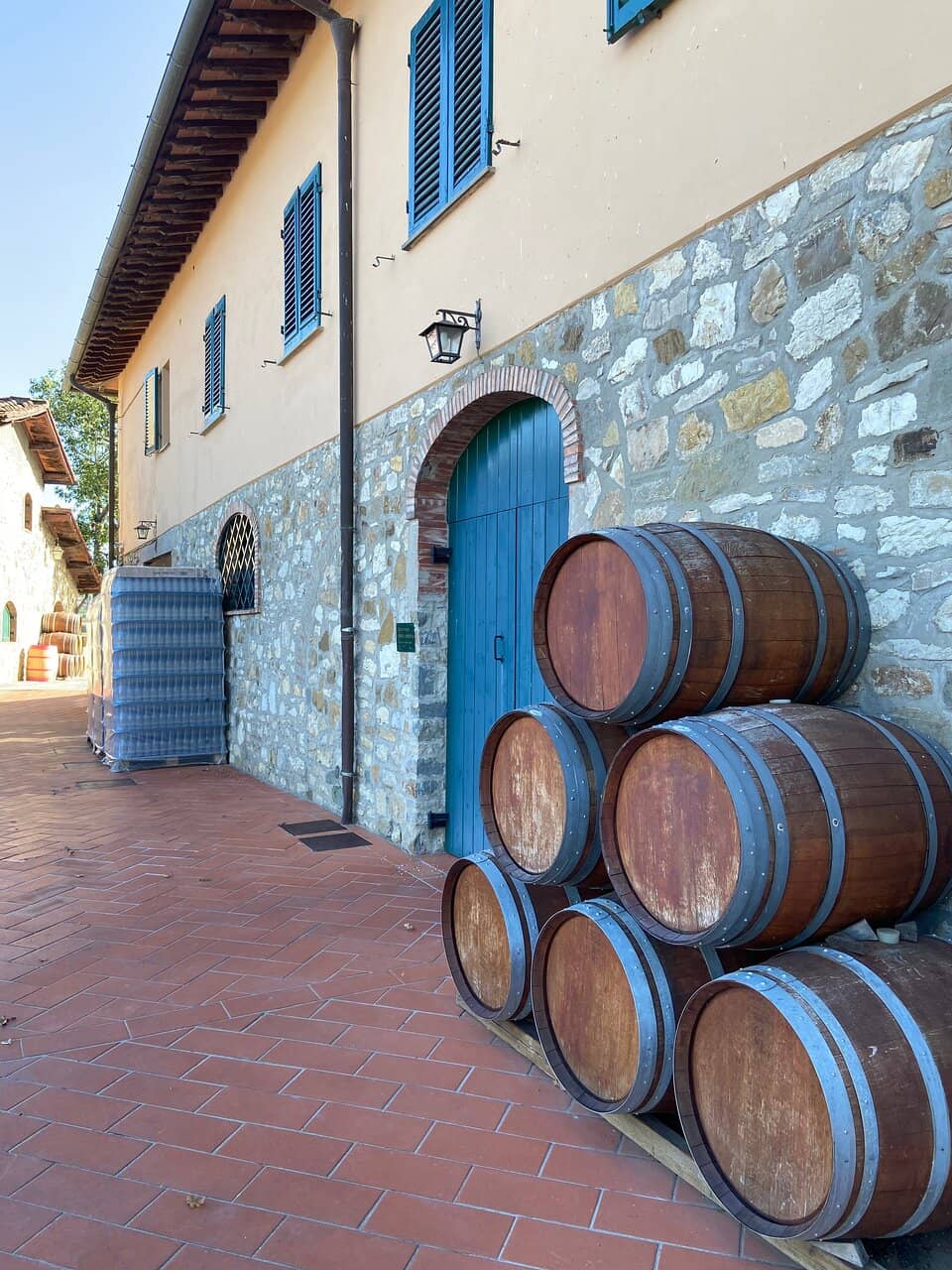 Vineyard Views