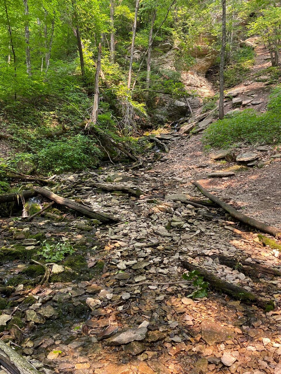Wooded Bluffs & Nature