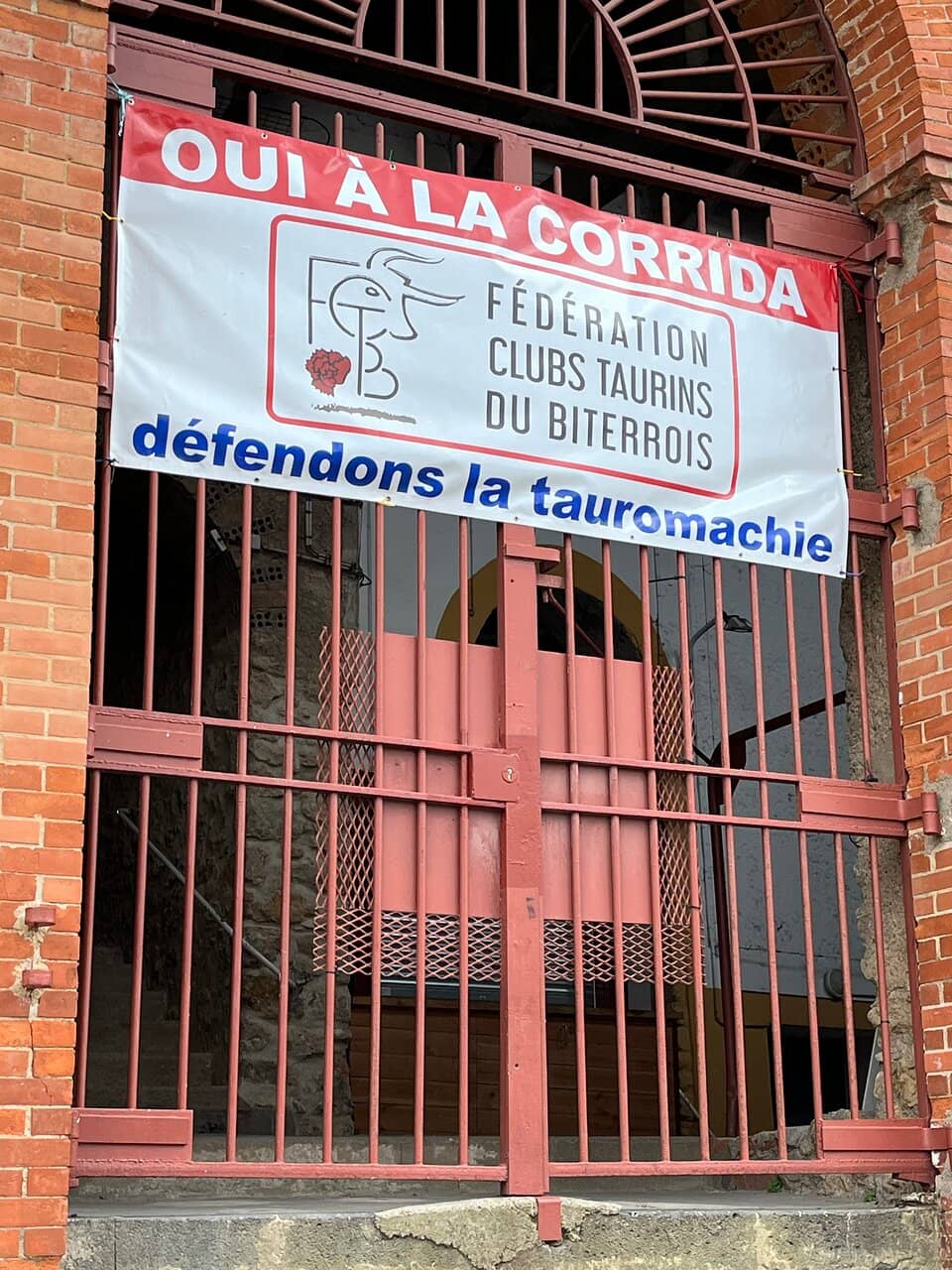 Concerts and Live Shows