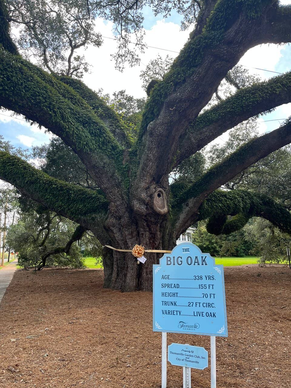 A Moment of Quiet Reflection