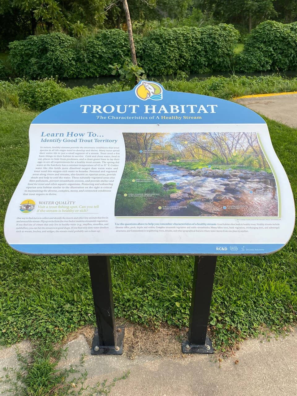 Siewer Springs Waterfall