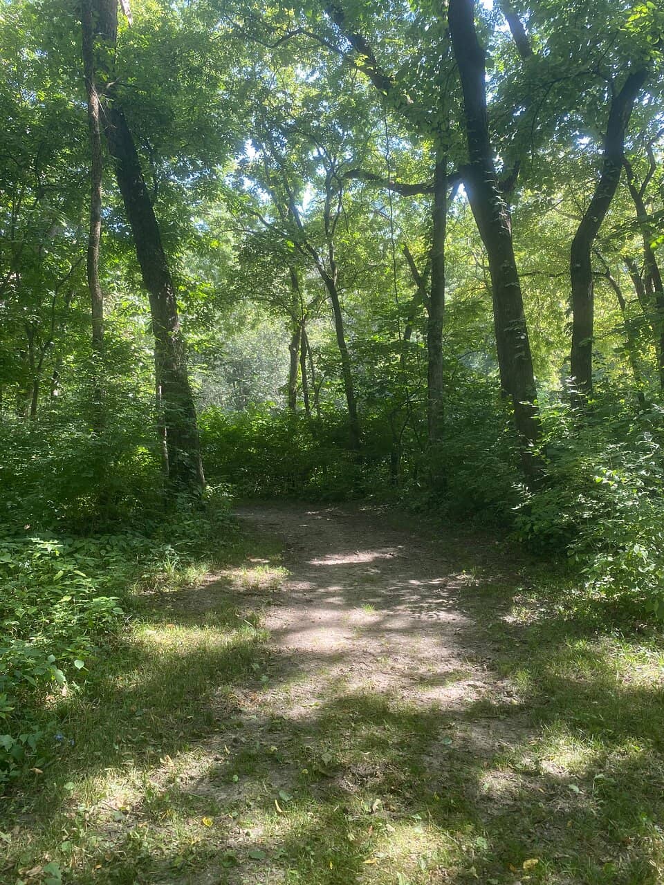 Challenging Hiking Trails