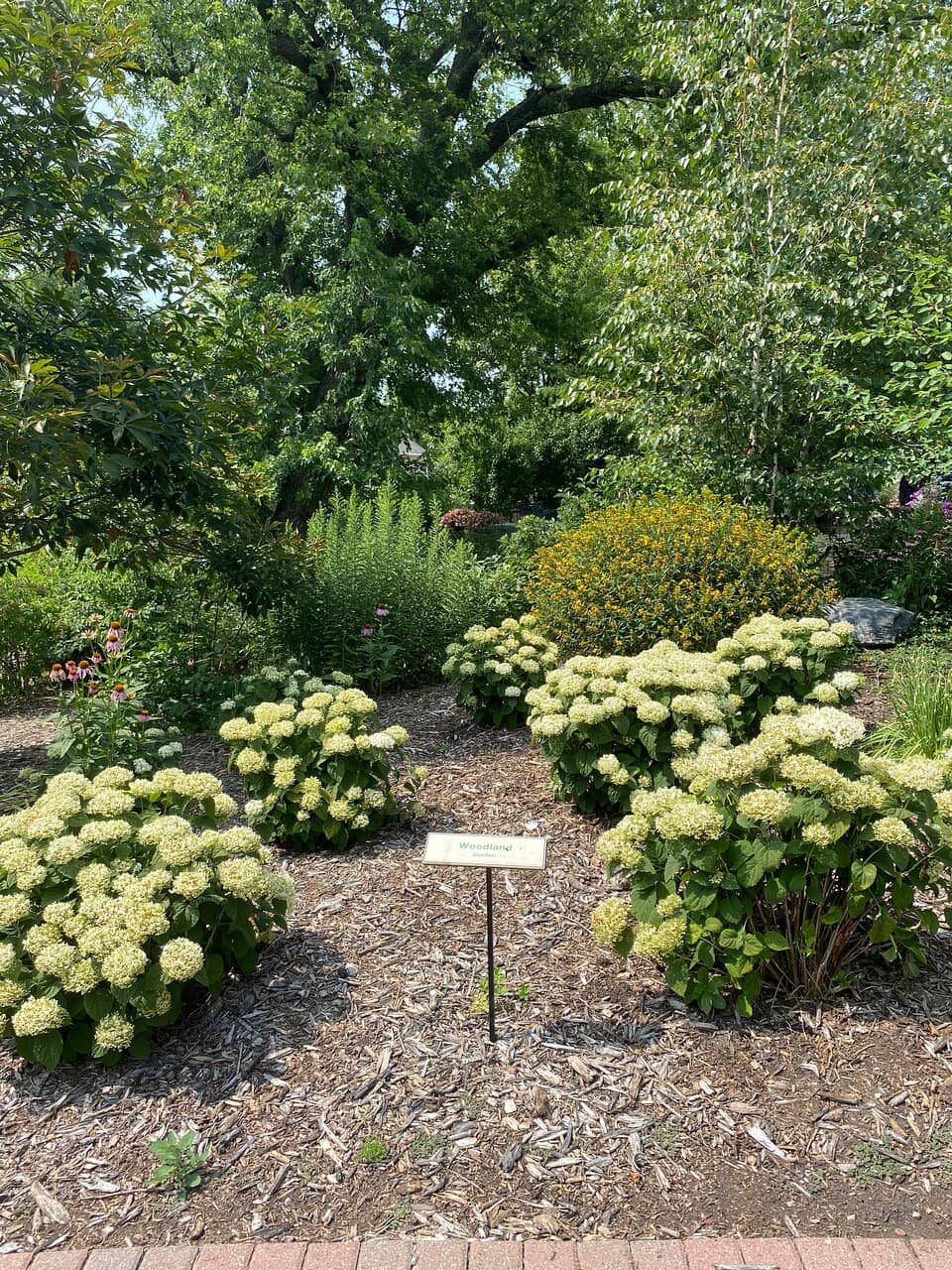 Charming Chicken Coop