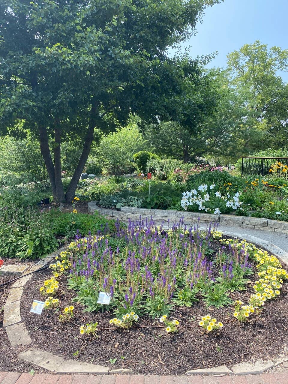 Herb and Butterfly Patches