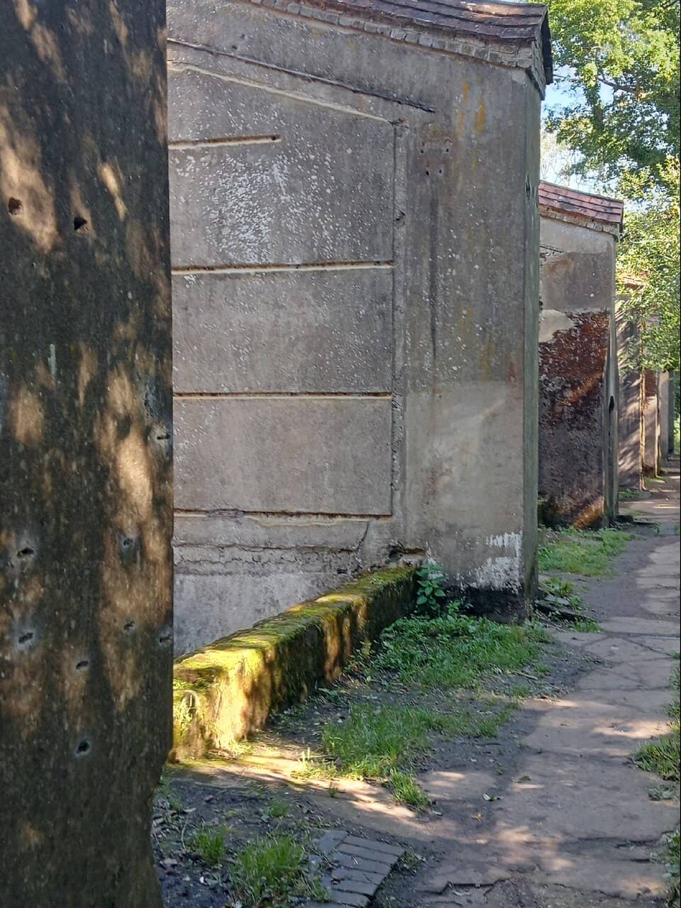 Vertical photo