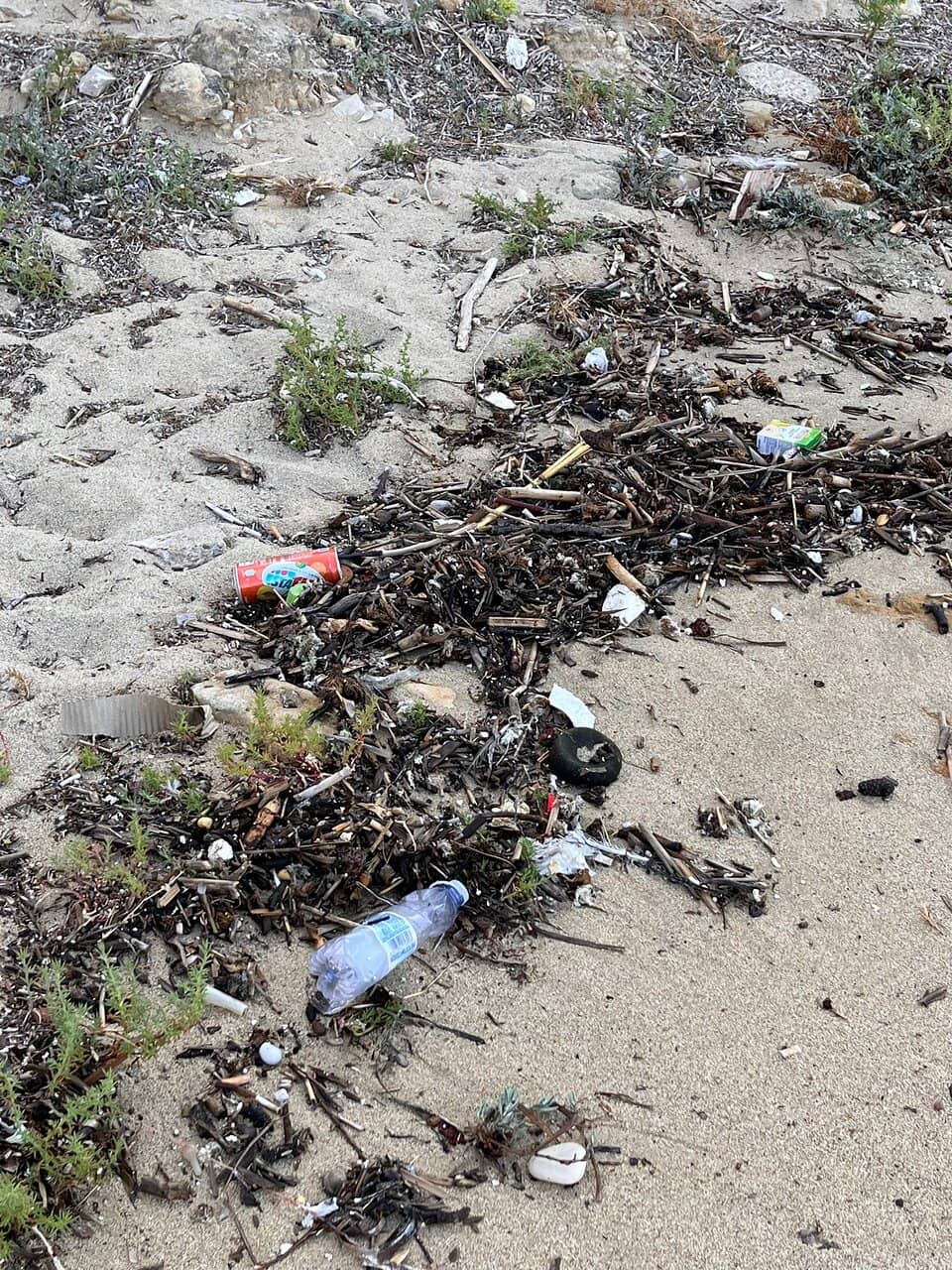 Rocky Coastline Views